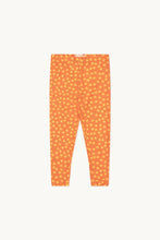 Load image into Gallery viewer, Tinycottons / KID / Stars Pants / Summer Red