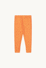 Load image into Gallery viewer, Tinycottons / KID / Stars Pants / Summer Red